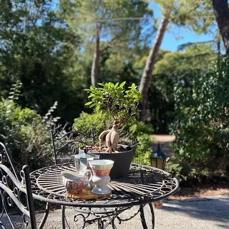 Casal Camillo Pensjonat Case Selva Grande