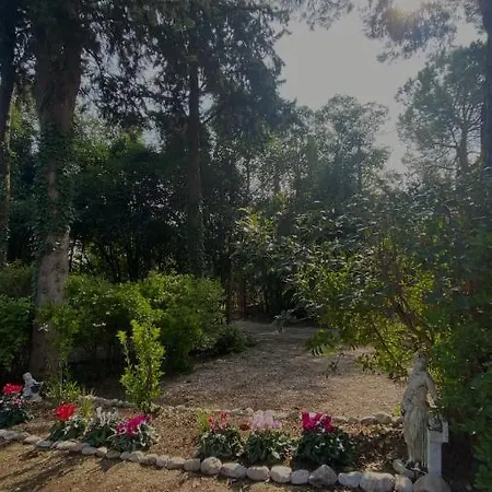 Guest house Casal Camillo *